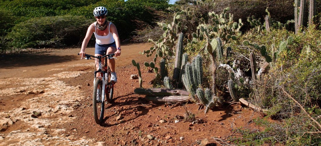 Eine Frau fährt mit dem Mountainbike über einen staubigen, rotbraunen Naturpfad auf Curaçao. Rechts wachsen zahlreiche Kakteen und trockene Sträucher, im Hintergrund dichteres grünes Buschwerk. Die Sonne scheint, der Himmel ist blau mit wenigen Wolken.