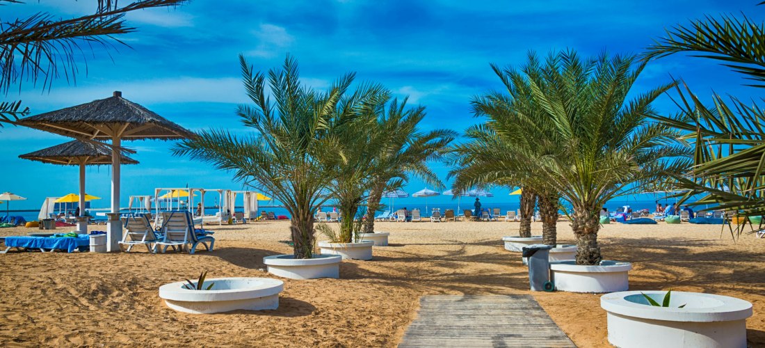 Palmen und Sonnenliegen an einem tropischen Strand mit blauem Himmel und luxuriösen Entspannungsbereichen