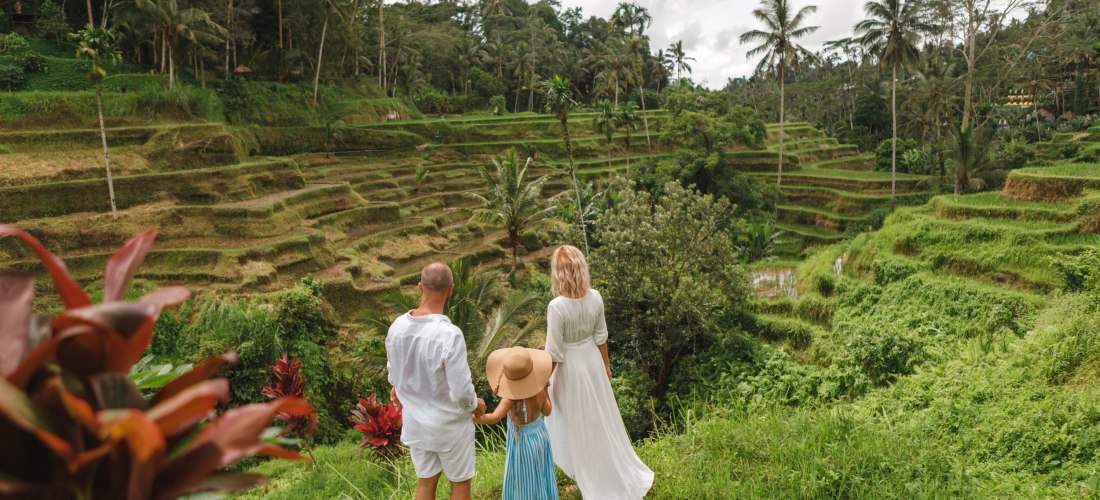 Eine Familie mit zwei Erwachsenen und einem Kind steht auf einem grünen Hang und blickt auf die berühmten Reisterrassen von Tegalalang auf Bali. Die üppige Landschaft ist von Palmen und gestuften Reisfeldern durchzogen. Die Familie trägt helle Kleidung, d