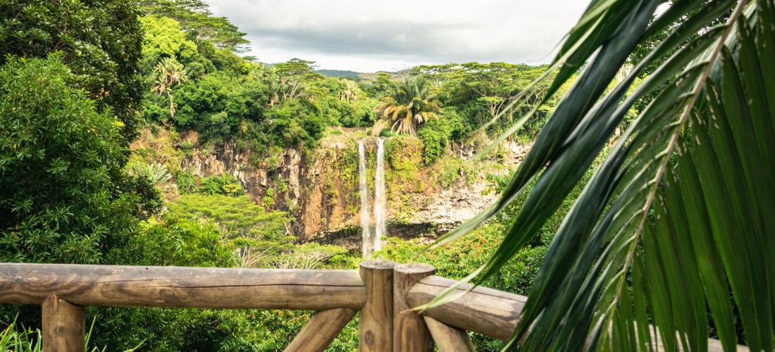 Aussicht auf die Chamarel-Wasserfälle, umgeben von dichter tropischer Vegetation auf Mauritius