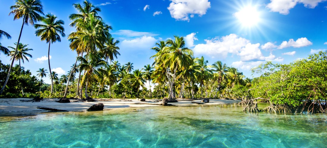 Karibischer Sandstrand mit Palmen und türkisfarbenem Wasser unter strahlend blauem Himmel in der Dominikanischen Republik.
