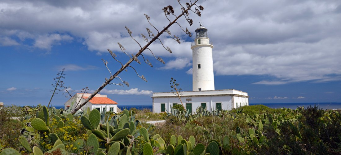 Weißer Leuchtturm Far de la Mola auf Formentera, umgeben von dichter Vegetation und Kakteen. Im Vordergrund ragen Pflanzen in den Himmel, während sich über dem Meer dramatische Wolken abzeichnen.