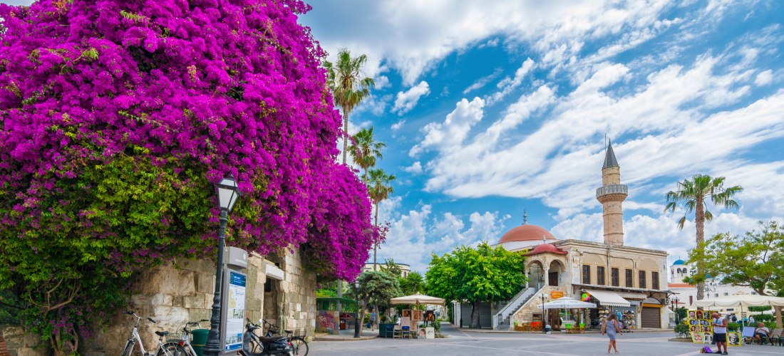 Lebendiger Platz mit einer historischen Moschee im Hintergrund, deren Minarett in den wolkigen Himmel ragt. Davor breitet sich ein großer Baum mit dichten, leuchtend pinken Bougainvillea-Blüten aus. Fahrräder und Motorroller stehen neben der alten Stadtma