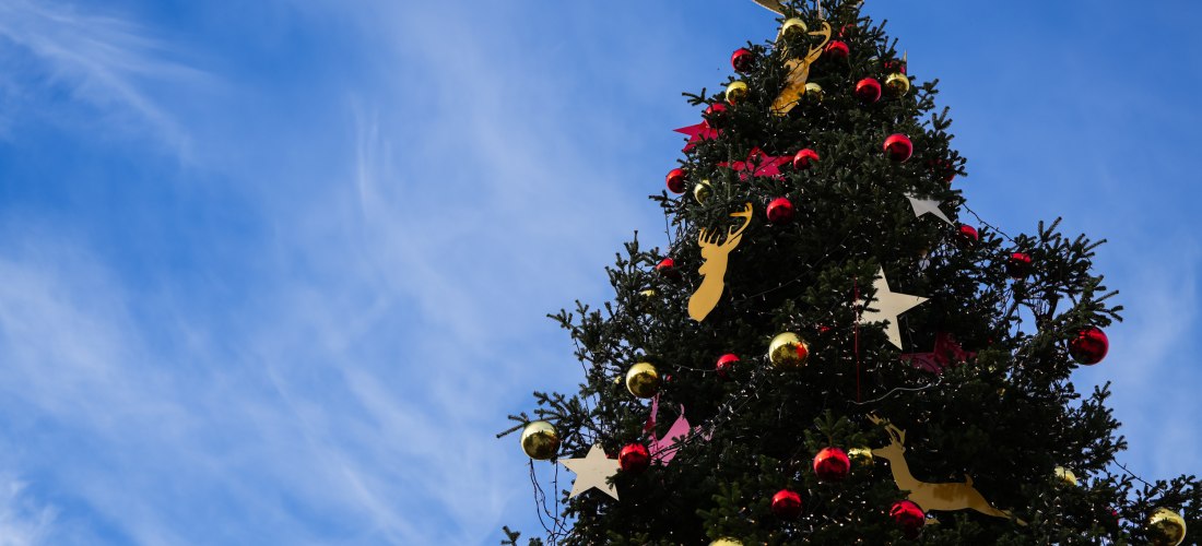 Weihnachtsbaum mit goldenen Rentieren, roten und goldenen Kugeln sowie Sternen vor blauem Himmel