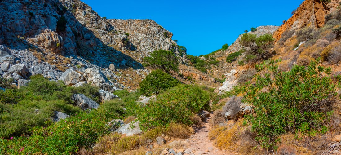 Schmale, steinige Schlucht mit trockenem Wanderpfad, umgeben von felsigen Hängen und mediterraner Vegetation aus Sträuchern und vereinzelten Bäumen unter einem klaren, blauen Himmel