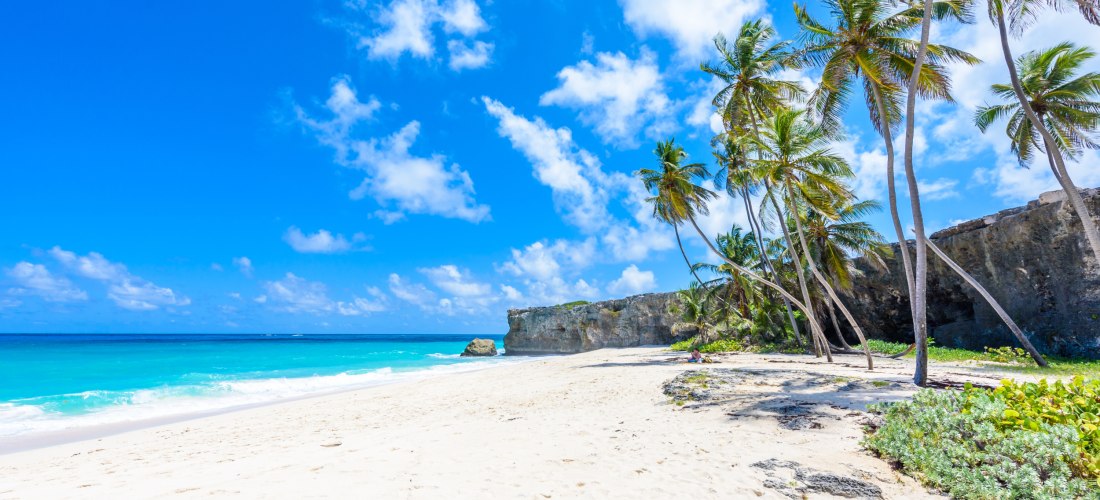 Bottom Bay auf Barbados mit weißem Sand, Palmen und türkisblauem Meer unter blauem Himmel.