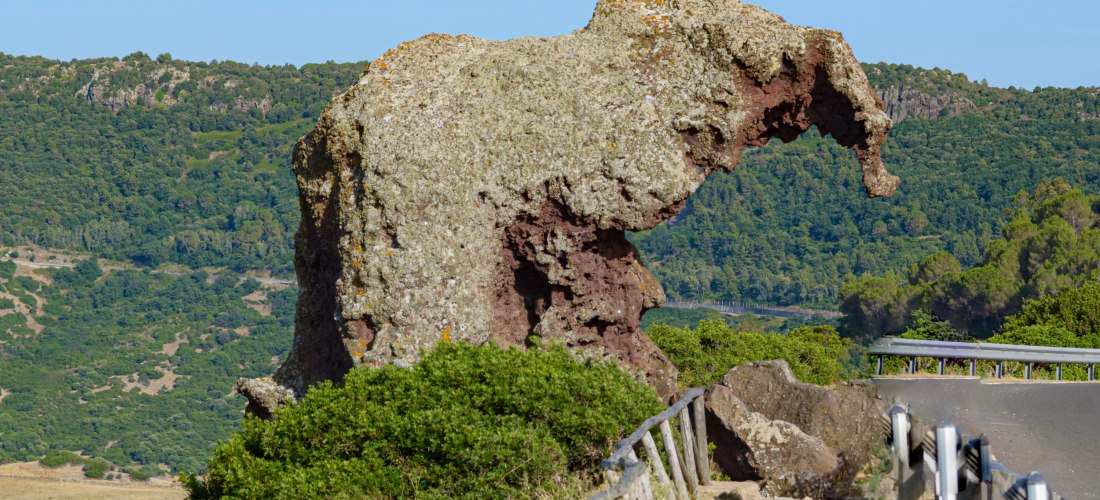 Der berühmte Elefantenfelsen bei Castelsardo auf Sardinien – beeindruckende Felsformation und beliebtes Fotomotiv an der Panoramastraße