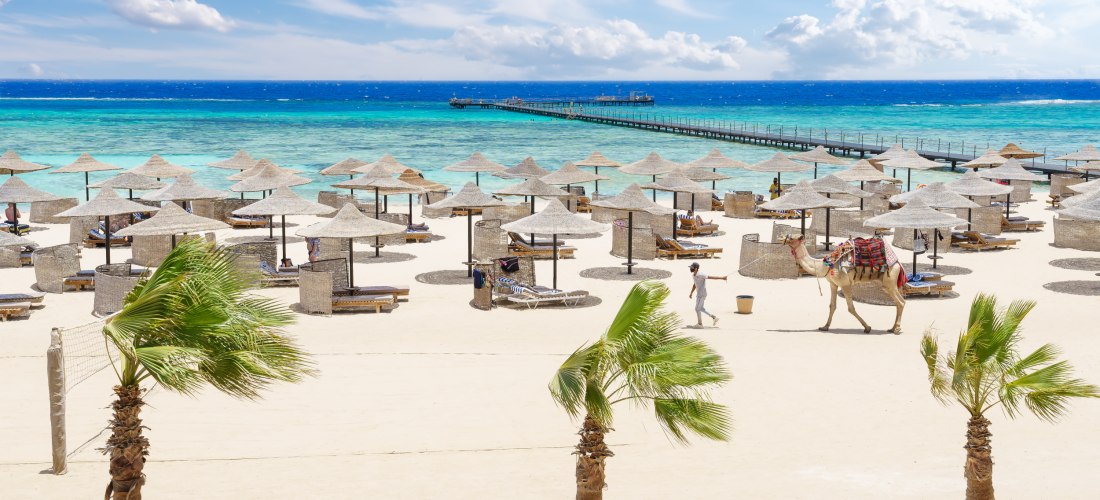 Heller Sandstrand mit Palmen, Sonnenliegen und naturfarbenen Schirmen. Das türkisfarbene Meer glänzt in der Sonne, ein Steg führt ins Wasser. Eine Person führt ein Kamel am Strand entlang.