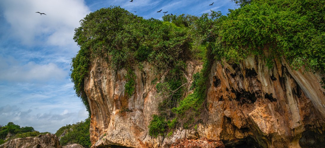 Steile Felsformation an der Küste der Dominikanischen Republik, bewachsen mit grüner Vegetation und umgeben vom türkisfarbenen Meer.