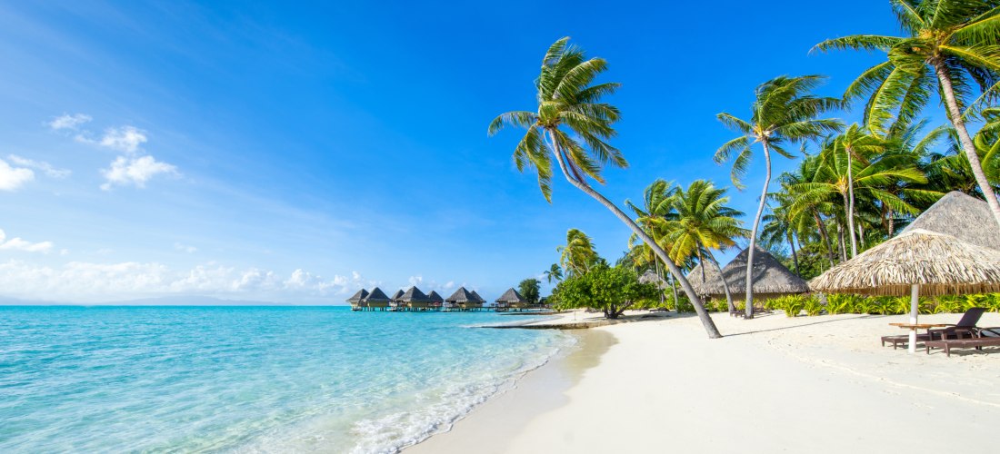 Ein paradiesischer Sandstrand mit sanften Wellen, hohen Palmen und luxuriösen Wasservillen im Hintergrund.              Perfekt für Erholung, Entspannung und unvergessliche Urlaubsmomente.
