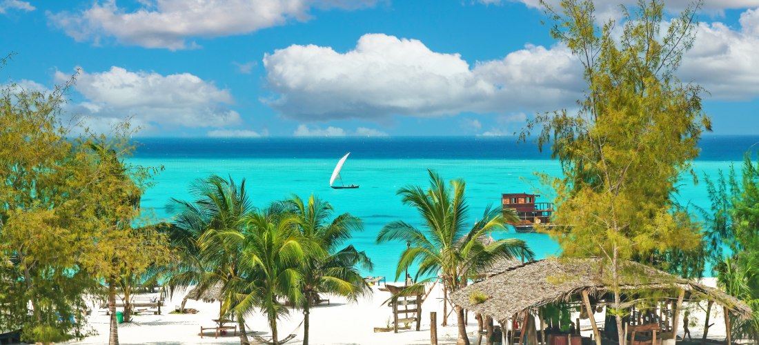 Traumhafter Strand auf Sansibar mit Palmen, traditionellem Dhow-Segelboot und türkisblauem Meer – perfektes Urlaubsziel in Tansania