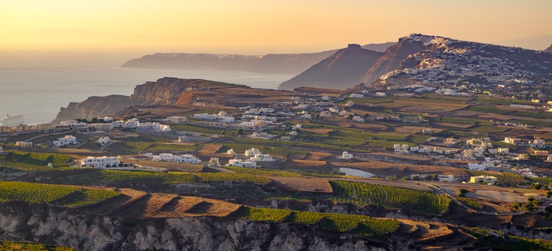 Landschaft auf Santorini bei Sonnenuntergang: Die tiefstehende Sonne taucht die terrassierten Weinberge in goldenes Licht. Weiße Häuser sind über die hügelige Landschaft verteilt. Im Hintergrund sieht man das Meer und steile Klippen mit weiteren Siedlunge