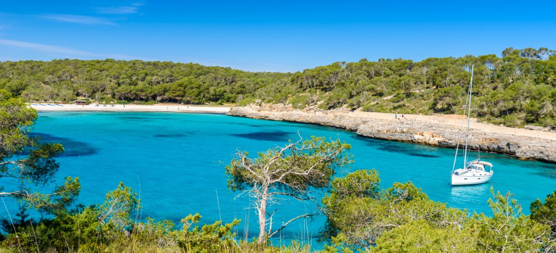 Eine wunderschöne Bucht mit strahlend blauem Wasser, umgeben von Pinienwäldern und einer felsigen Küste. Im Vordergrund wachsen Pinien und mediterrane Büsche. Am Rand der Bucht liegt ein kleiner Sandstrand mit feinem, hellem Sand. Eine weiße Segelyacht an