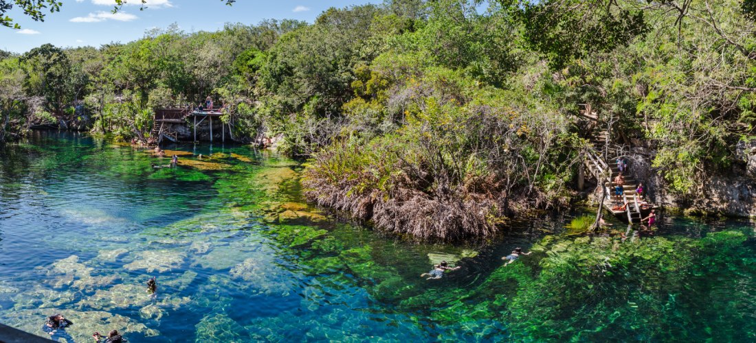 Cenote-Pool mit Schwimmern und dem umgebenden Dschungel