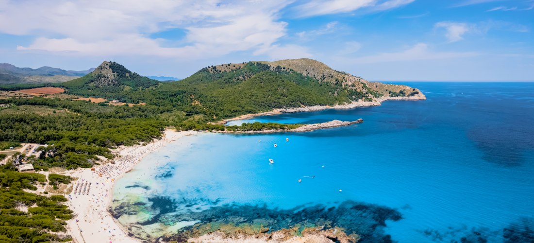 Panoramablick aus der Luft auf die Cala Agulla mit türkisfarbenem Meer, Sandstrand und bewaldeten Hügeln im Nordosten Mallorcas