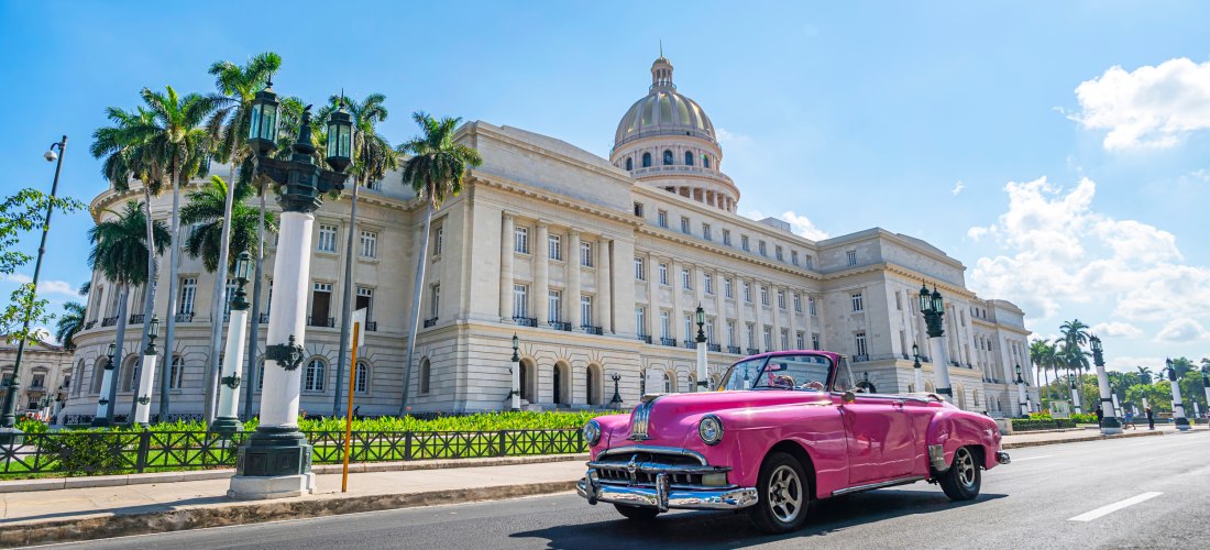 Havanna erleben – Pinker Oldtimer vor dem Capitolio Pinker Oldtimer vor dem Capitolio Nacional in Havanna Kuba bei Sonnenschein mit Palmen im Hintergrund