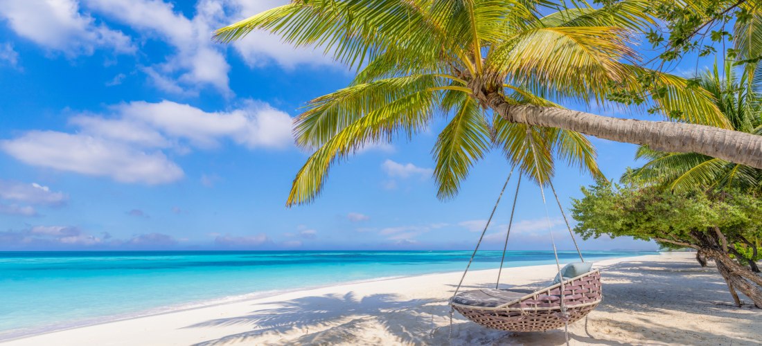 Traumhafter tropischer Sandstrand mit feinem weißen Sand und türkisblauem Wasser. Eine große Palme lehnt sich über den Strand und trägt eine geflochtene Hängeschaukel mit Kissen. Der Himmel ist blau mit ein paar weißen Wolken, die Szene wirkt ruhig und pa