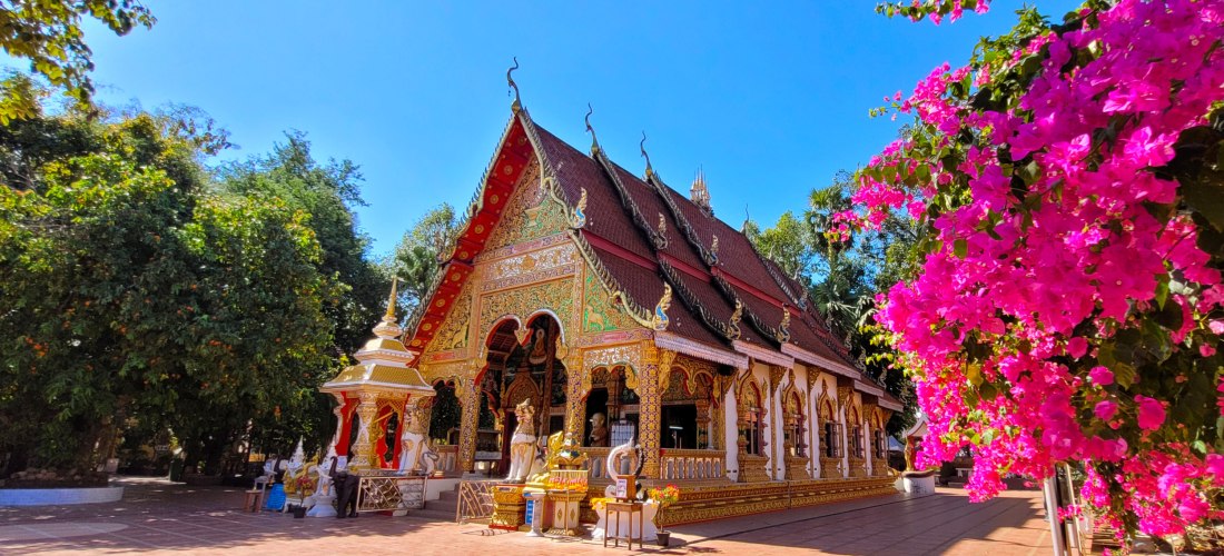 Prächtig verzierter thailändischer Tempel mit rotem Dach und goldenen Details, flankiert von einer üppigen Bougainvillea mit leuchtend pinken Blüten. Die Szenerie ist von tropischen Bäumen umgeben und der Himmel strahlt in hellem Blau.