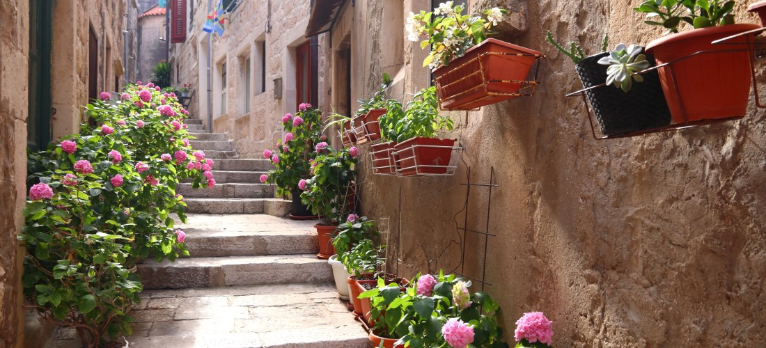 Kroatien - Korčula Romantische, enge Gasse in einer Altstadt in Kroatien ( Korčula ). Steinige Treppen führen zwischen alten, sandfarbenen Hausfassaden empor. Links und rechts säumen blühende rosa Hortensien und bunte Blumentöpfe den Weg. An den Wänden hängen Pflanzen in Te