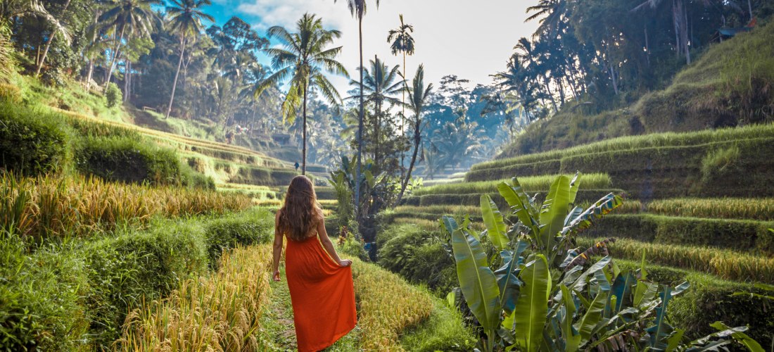 Frau im roten Kleid spaziert barfuß durch die berühmten Reisterrassen von Tegallalang auf Bali, umgeben von Palmen und tropischer Natur