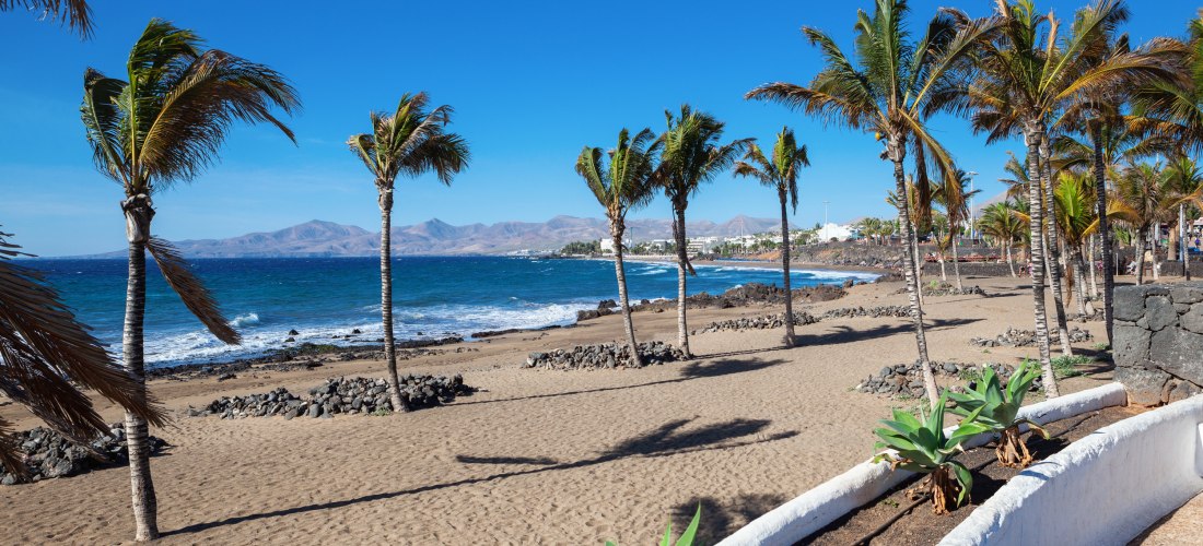 Strand von Puerto del Carmen auf Lanzarote mit Palmen, dunklem Sandstrand und Blick auf das Meer.