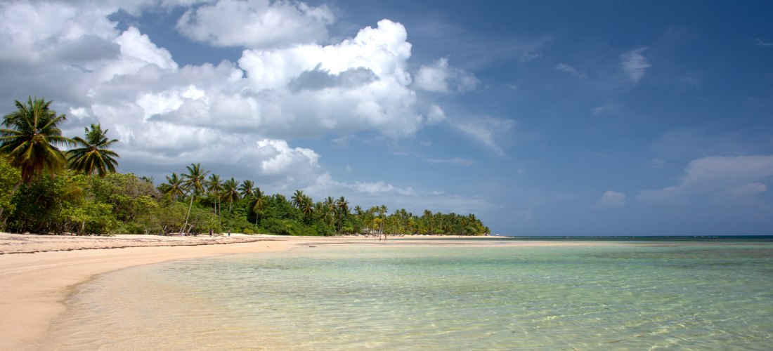 Weitläufiger, naturbelassener Strand in der Dominikanischen Republik mit hellem Sand, Palmen und glasklarem Wasser – ideal für ruhige Bade- und Erholungstage.