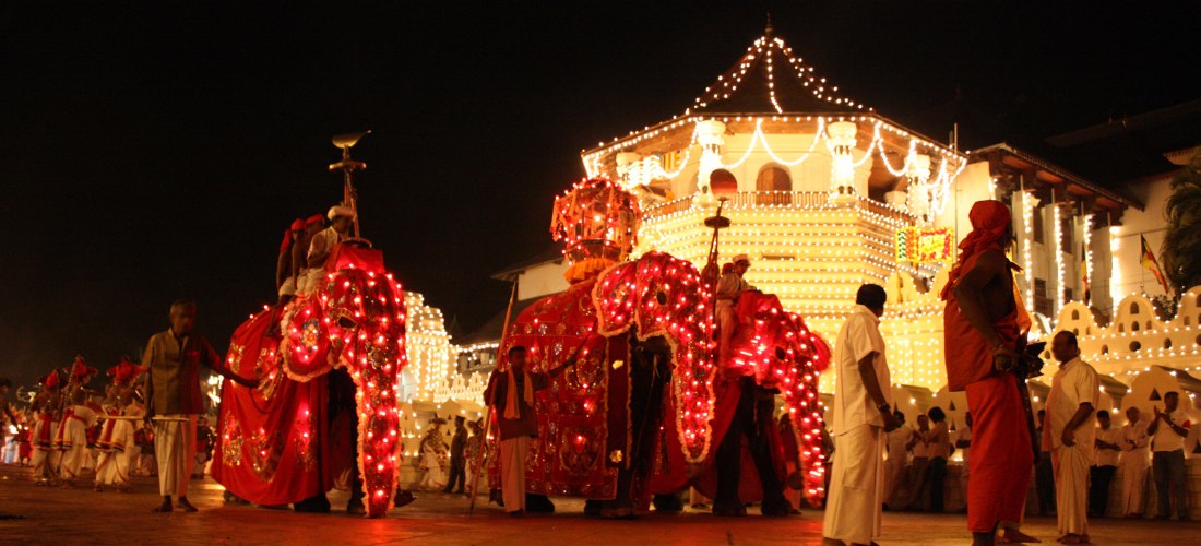 Nachtaufnahme einer festlichen Prozession vor dem Zahntempel in Kandy, Sri Lanka. Zwei prächtig geschmückte Elefanten mit roten Lichtern tragen Zeremonialschmuck und Reiter. Im Hintergrund ist das Tempelgebäude mit Lichterketten festlich beleuchtet. Um di