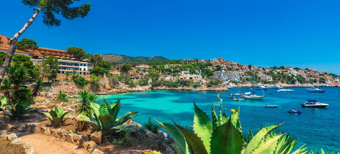 Aussicht auf eine Küstenlandschaft mit türkisblauem Meer, Segelbooten und modernen Ferienhäusern, eingerahmt von grünen Pflanzen und Kakteen im Vordergrund.