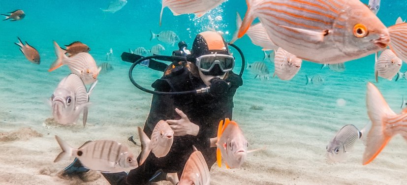 unter Wasser, eine Person beim Tauchen, Fische