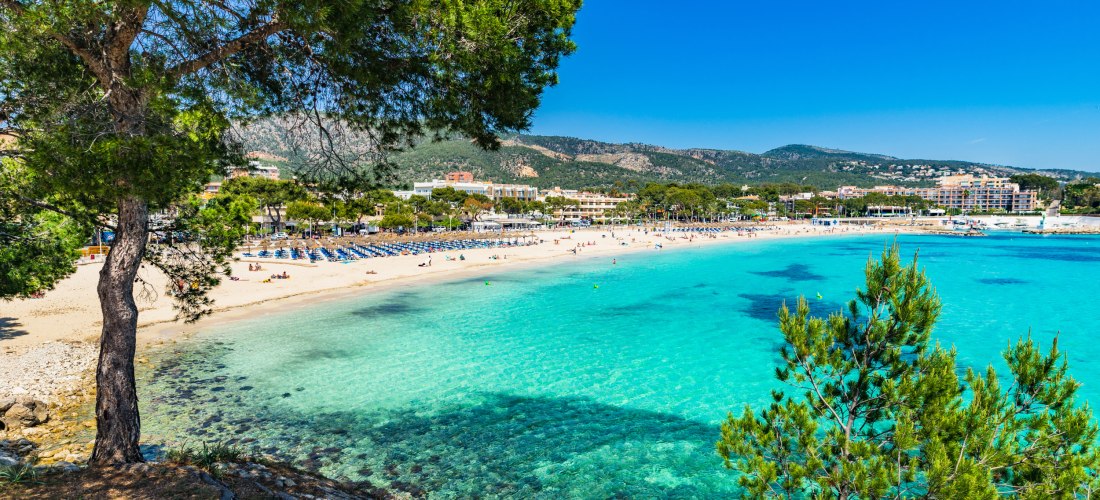 Blick auf einen langen Sandstrand mit zahlreichen Sonnenliegen, gesäumt von türkisfarbenem Wasser. Im Vordergrund stehen Pinienbäume, die teilweise Schatten auf das Ufer werfen. Im Hintergrund sind Hotels, Cafés und Hügel mit grüner Vegetation zu sehen. D