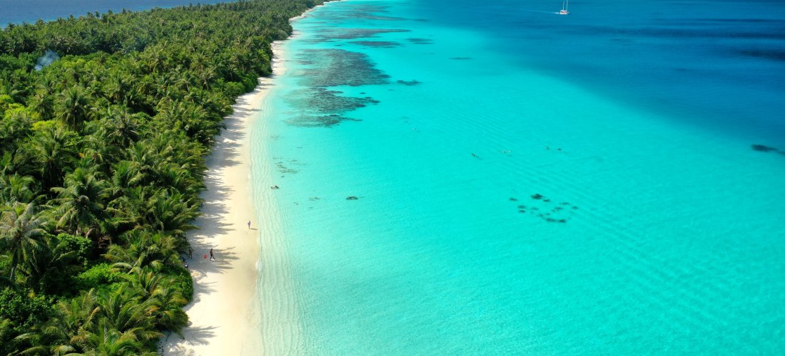 Unberührter Strand auf den Malediven mit dichtem Palmenwald und türkisfarbenem Meer bei sonnigem Wetter