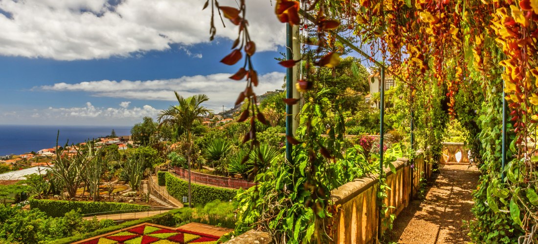 Rechts verläuft eine schattige Pergola mit herabhängenden, rot-gelben Blüten.     Links öffnen sich Terrassen eines botanischen Gartens mit geometrisch angelegten     Beeten in Rot- und Grüntönen, dazwischen Wege, Kakteen, Palmen und Sträucher.     Dahint