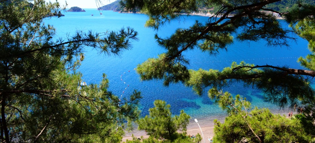 Blick durch grüne Pinienzweige auf ein klares, türkisblaues Meer und einen schmalen Kiesstrand an der Türkischen Riviera.