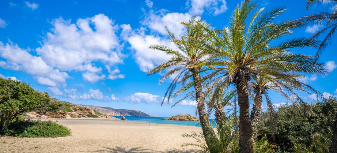 Palmen am Sandstrand mit Blick auf das blaue Meer und bewölkten Himmel