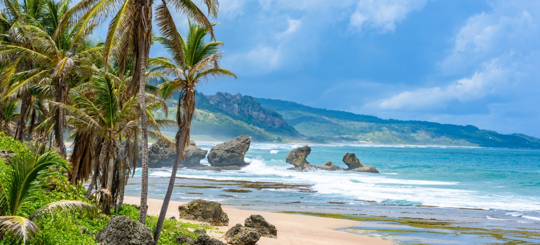 Bathsheba Beach auf Barbados mit Palmen, Felsen und Wellen an der wilden Atlantikküste.