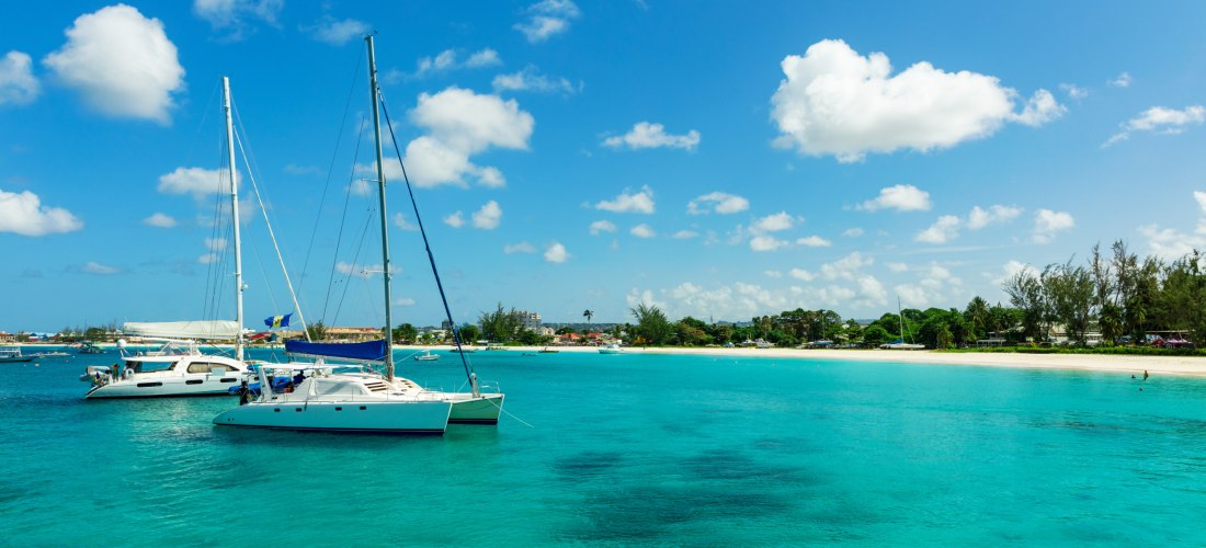 Zwei weiße Katamarane liegen vor Anker im türkisblauen Meer vor der Küste von Barbados. Im Hintergrund ist der Strand mit Palmen, Häusern und kleinen Booten zu sehen. Der Himmel ist strahlend blau mit wenigen weißen Wolken – perfekte Bedingungen für einen