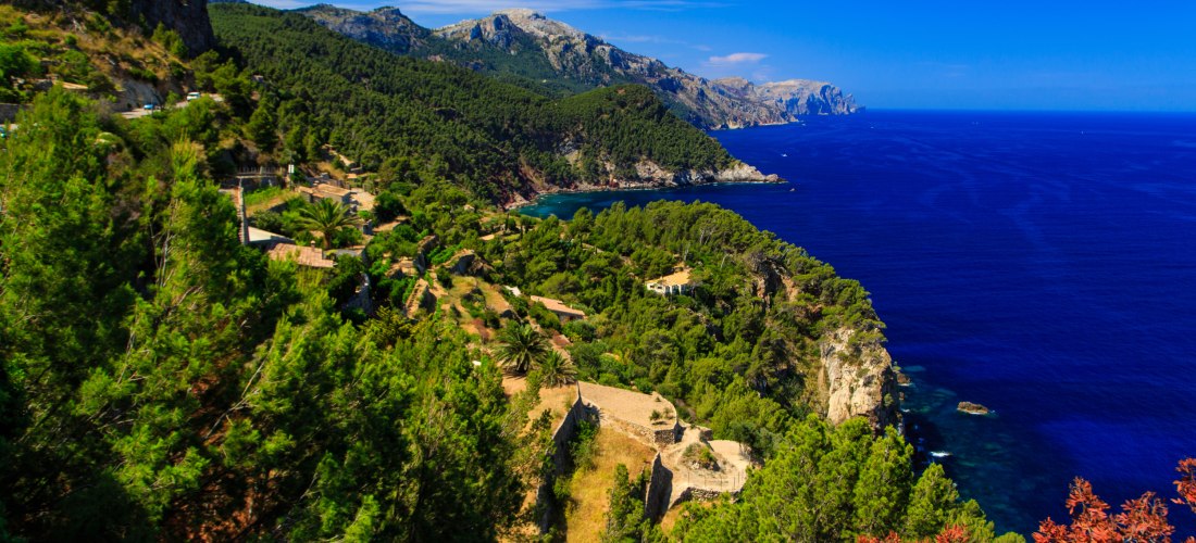 Das Bild zeigt eine atemberaubende Landschaft an der Küste von Mallorca. Im Vordergrund ist eine dichte, grüne Vegetation mit Pinien und Sträuchern zu sehen, die sich an die felsigen Klippen der Küste schmiegen. Im Hintergrund breitet sich das tiefblaue M