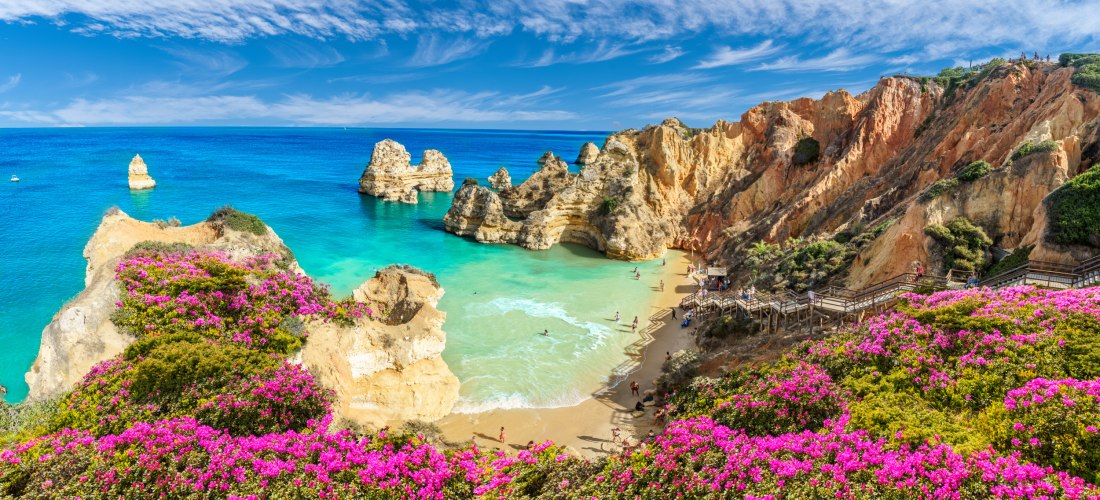 Steilküste mit pink blühenden Büschen und Blick auf eine malerische Bucht mit türkisfarbenem Wasser und goldgelben Felsen an der Algarve. Holzstege führen hinunter zum Strand, wo sich Badegäste im Wasser aufhalten.