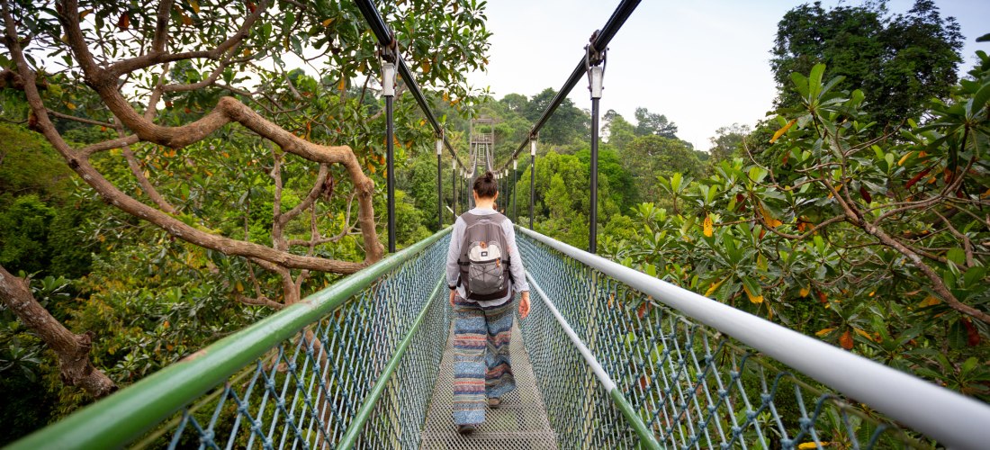 Eine Person mit Rucksack geht über eine schmale Hängebrücke, die durch das dichte Blätterdach eines tropischen Regenwaldes in Singapur führt. Links und rechts ragen grüne Äste und Blätter in die Brücke hinein, im Hintergrund ist das Ende der Brücke kaum s