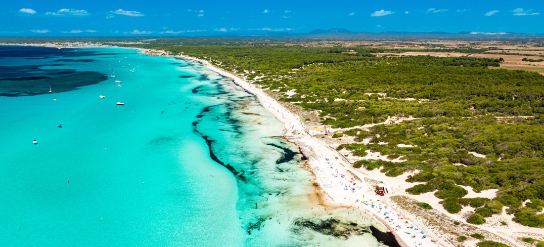 Luftaufnahme eines langen weißen Sandstrandes mit türkisfarbenem Wasser und grünen Pinienwäldern 
