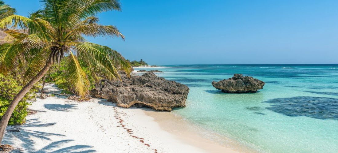 tropischer einsamer Strand, Palmen, türkisblaues Wasser