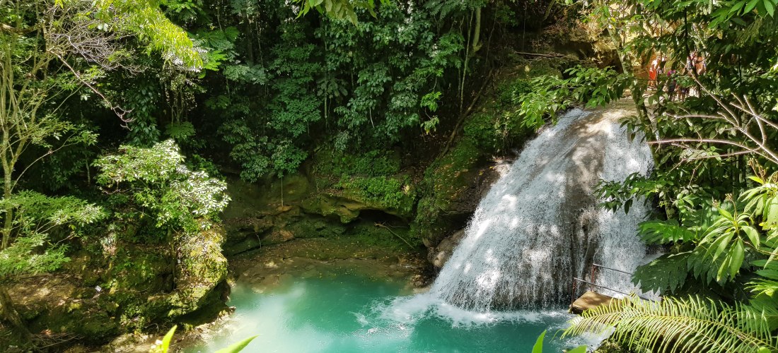 Ein kleiner, malerischer Wasserfall inmitten dichter, tropischer Vegetation in Jamaika. (  Blue Hole bei Ocho Rios ) Das Wasser fällt in ein türkisfarbenes, klares Naturbecken, umgeben von grünen Farnen und Bäumen. Sonnenlicht fällt stellenweise durch das