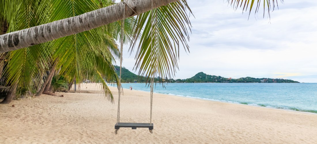 Idyllischer Palmenstrand am Lamai Beach auf Koh Samui, Thailand, mit Schaukel unter einer Kokospalme und Blick auf das türkisfarbene Meer.