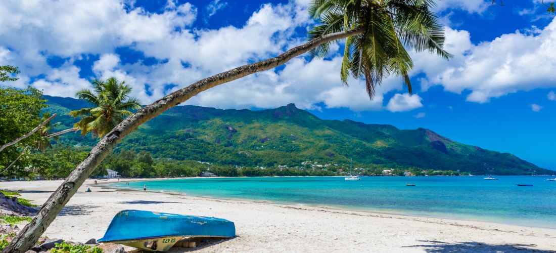 Beau Vallon Strand Seychellen 2025/2026 – weiße Sandbucht mit Palme, türkisblauem Meer und kleinem Boot