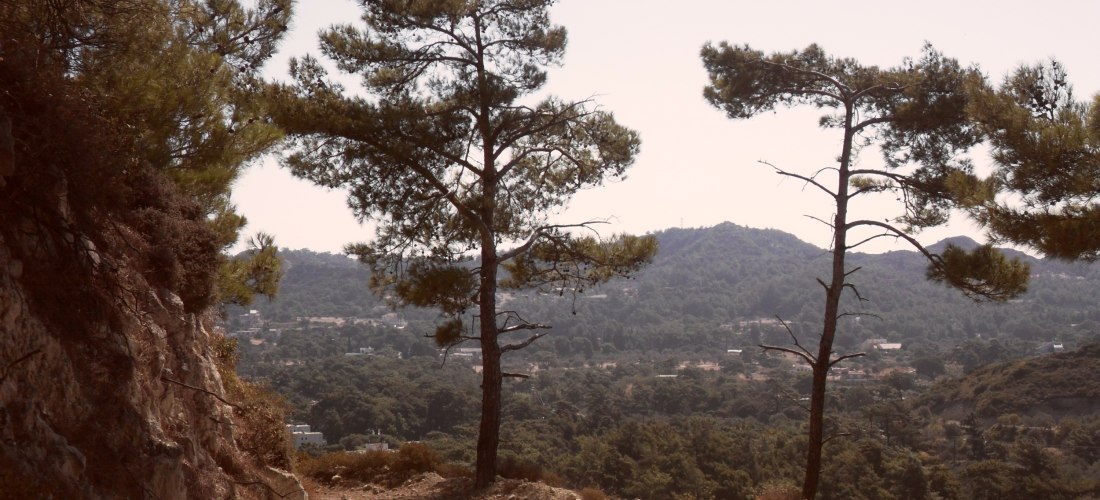 Staubiger Wanderpfad mit zwei Pinienbäumen am Rand, Blick über bewaldetes Tal mit Hügeln und verstreuten Häusern unter klarem Himmel.
