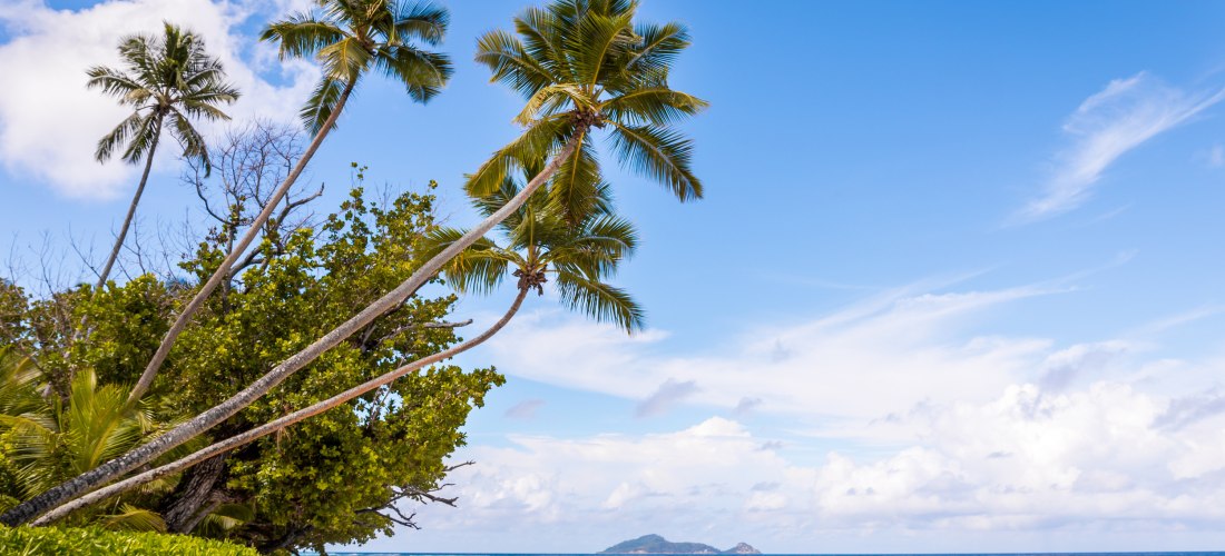 Silhouette Island Seychellen 2025/2026 – Palmenstrand mit weißem Sand und Blick auf den Indischen Ozean