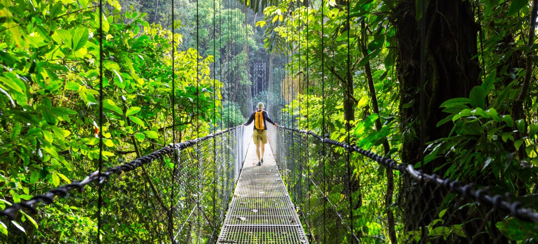 Person mit Rucksack überquert eine Hängebrücke im dichten, grünen Regenwald bei Tageslicht