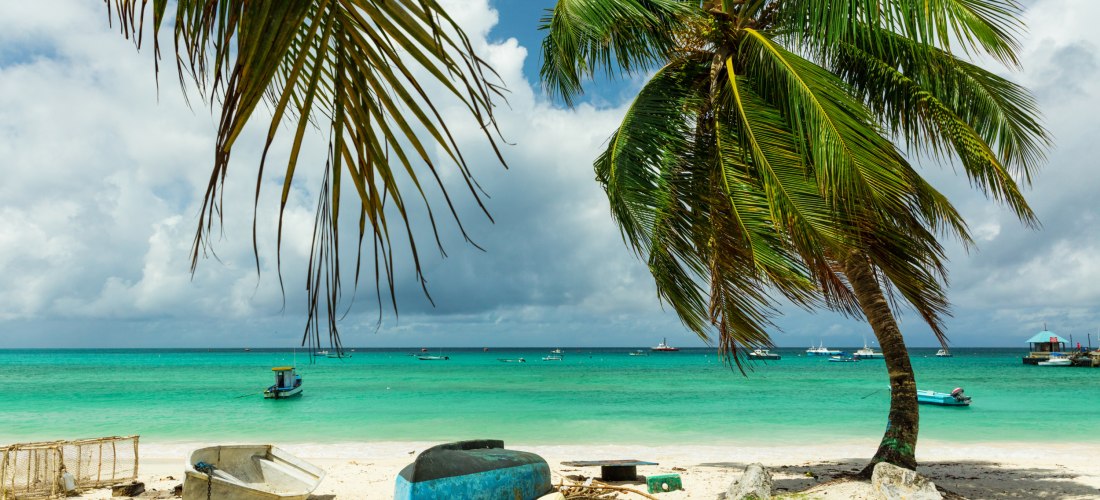 Fischerboote und Palmen an einem weißen Sandstrand auf Barbados mit türkisblauem Meer.