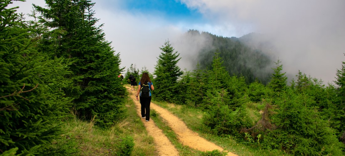 Eine Gruppe erfahrener Wanderer wandert in den wunderschönen Bergen von Kackarlar (Kaçkar-Gebirge), einer beliebten Route in der Türkei. Wanderroute auf dem Pokut-Plateau.