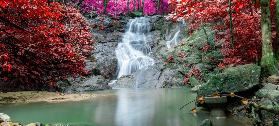 Ein kleiner Wasserfall ( Kathu Wasserfall ) inmitten eines tropischen Waldes auf Phuket. Das Wasser fällt sanft über Felsen in ein ruhiges Becken. Die Umgebung ist farbintensiv – das Laub zeigt leuchtende Rottöne, die dem Bild einen surrealen, fast märche